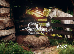 6x8-Mountainburg Barn-Black Dandelion Backdrops