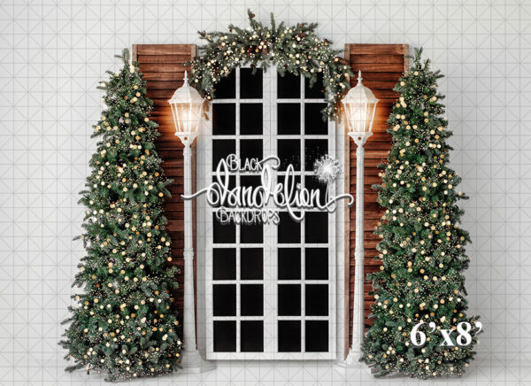 6x8-Single Snowy Christmas Courtyard-Black Dandelion Backdrops