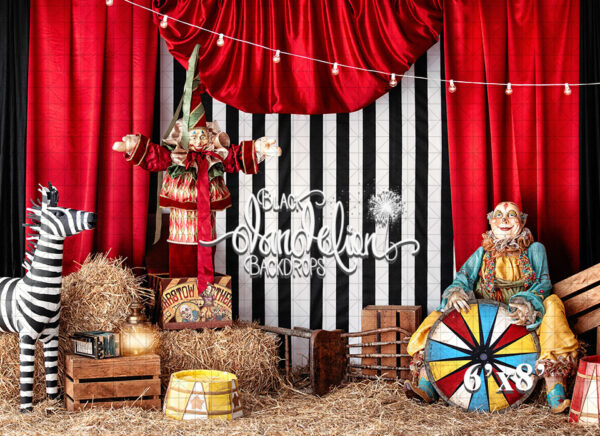 6x8-Wonky Circus-Black Dandelion Backdrops