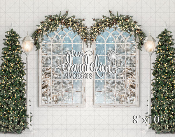 8x10-Arched Christmas-Black Dandelion Backdrops