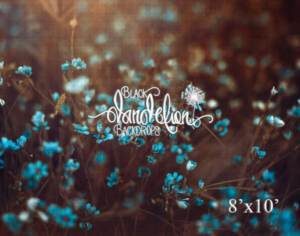 8x10-Blue Jaz-Black Dandelion Backdrops