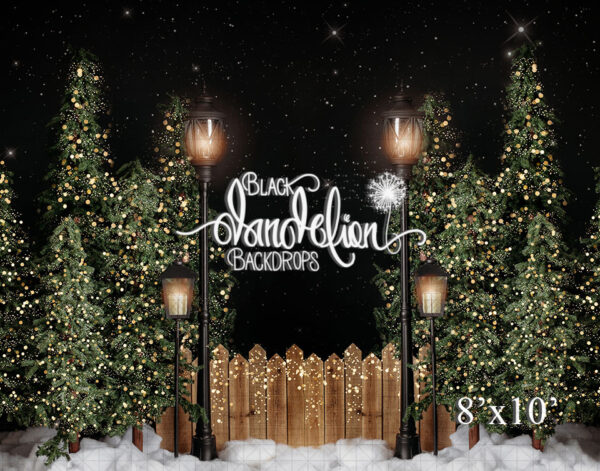 8x10-Garrison Christmas Park no bows-Black Dandelion Backdrops