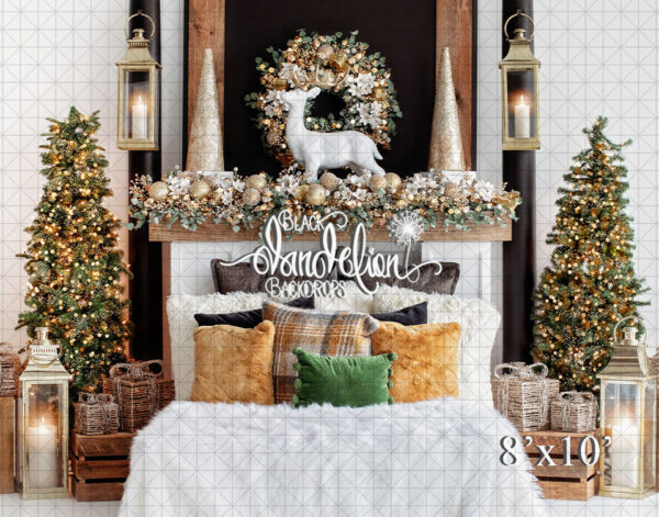 8x10-Poinsettia Christmas Bed-Black Dandelion Backdrops