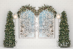 8x12-Arched Christmas-Black Dandelion Backdrops