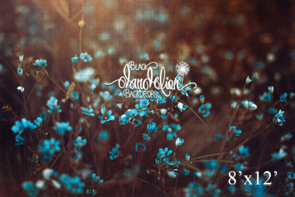 8x12-Blue Jaz-Black Dandelion Backdrops