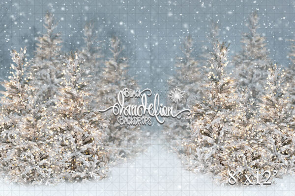 8x12-Cool Winter Christmas-Black Dandelion Backdrops