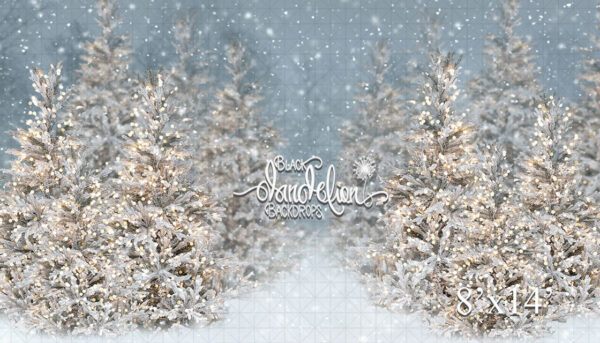 8x14-Cool Winter Christmas-Black Dandelion Backdrops