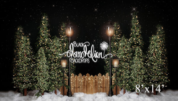 8x14-Garrison Christmas Park no bows-Black Dandelion Backdrops