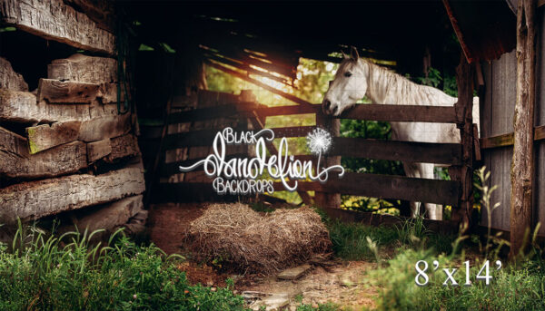 8x14-Mountainburg Barn-Black Dandelion Backdrops