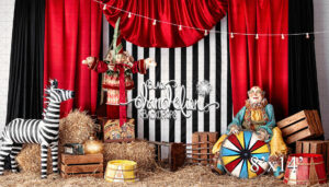 8x14-Wonky Circus-Black Dandelion Backdrops