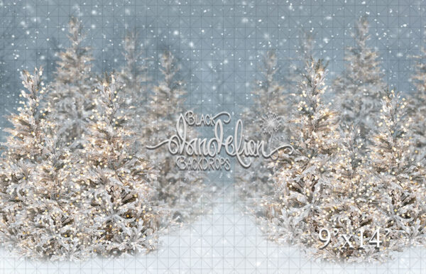 9x14-Cool Winter Christmas-Black Dandelion Backdrops