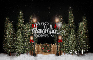 9x14-Garrison Christmas Park-Black Dandelion Backdrops