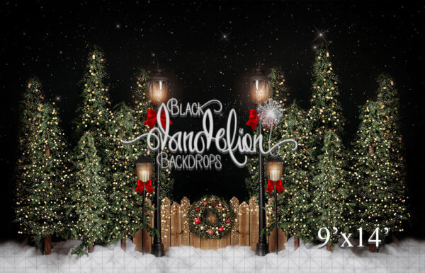 9x14-Garrison Christmas Park-Black Dandelion Backdrops