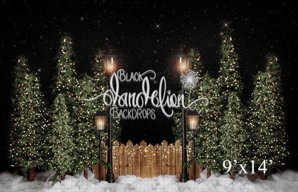 9x14-Garrison Christmas Park no bows-Black Dandelion Backdrops
