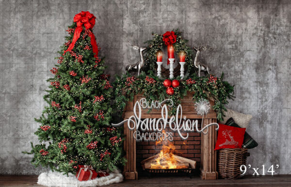9x14-Reindeer Christmas-Black Dandelion Backdrops