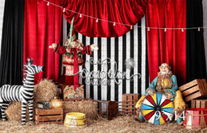 9x14-Wonky Circus-Black Dandelion Backdrops