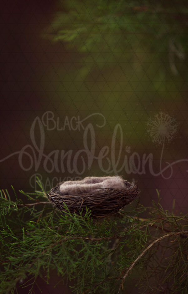 Baby-Bird-Vertical-Black Dandelion Backdrops