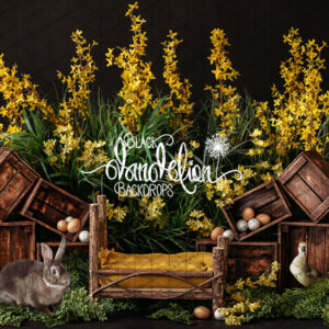 Easter-21-Black Dandelion Backdrops