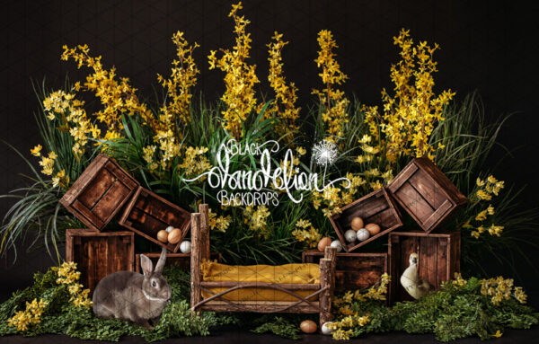 Easter-21-Black Dandelion Backdrops