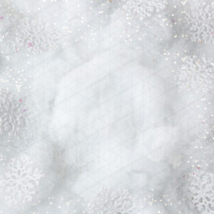 Snowflake-Black Dandelion Backdrops