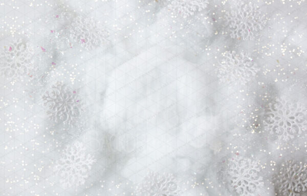 Snowflake-Black Dandelion Backdrops