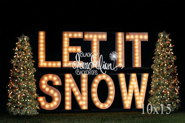 10x15-Let It Snow outdoors-Black Dandelion Backdrops