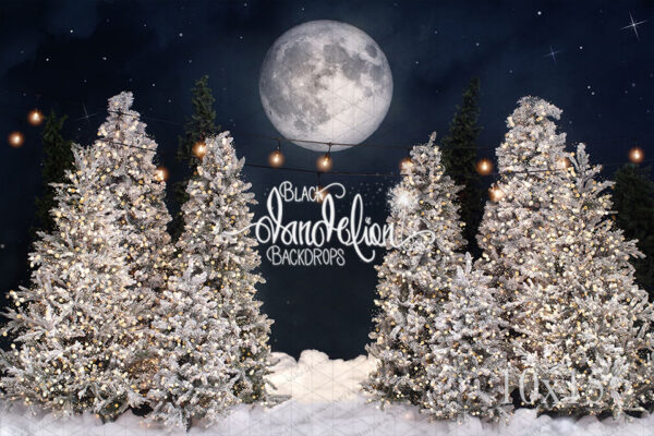 10x15-Snow White Tree Farm with Lights-Black Dandelion Backdrops