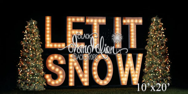 10x20-Let It Snow outdoors-Black Dandelion Backdrops