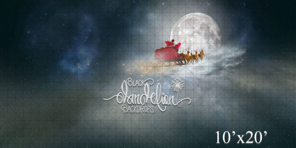 10x20-On Rudolph with Glitter-Black Dandelion Backdrops