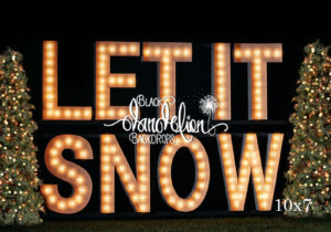 10x7-Let It Snow outdoors-Black Dandelion Backdrops