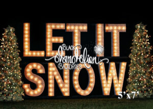 5x7-Let It Snow outdoors-Black Dandelion Backdrops