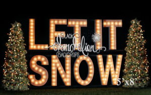 5x8-Let It Snow outdoors-Black Dandelion Backdrops