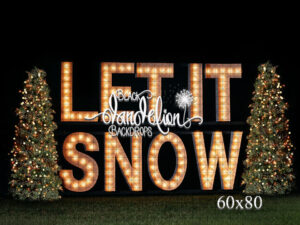 60x80-Let It Snow outdoors-Black Dandelion Backdrops