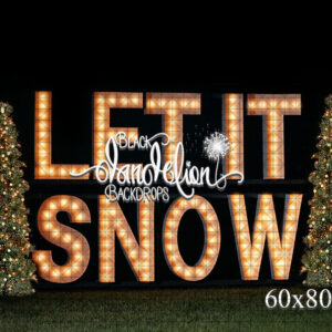 60x80-Let It Snow outdoors-Black Dandelion Backdrops
