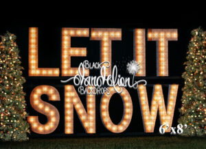 6x8-Let It Snow outdoors-Black Dandelion Backdrops