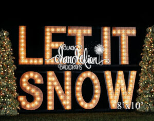 8x10-Let It Snow outdoors-Black Dandelion Backdrops