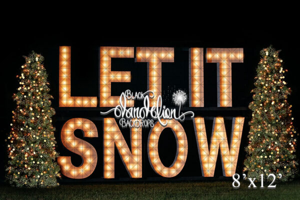 8x12-Let It Snow outdoors-Black Dandelion Backdrops
