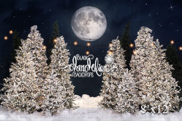 8x12-Snow White Tree Farm with Lights-Black Dandelion Backdrops