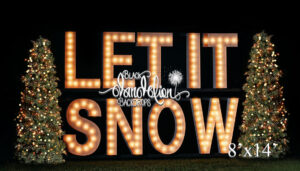 8x14-Let It Snow outdoors-Black Dandelion Backdrops