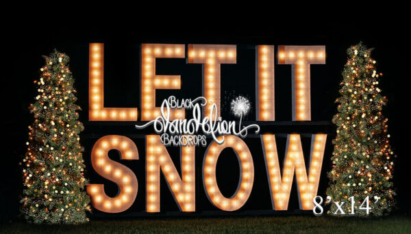8x14-Let It Snow outdoors-Black Dandelion Backdrops