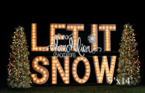 9x14-Let It Snow outdoors-Black Dandelion Backdrops